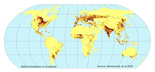 global map of cropland