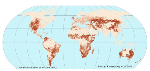 global map of pasture lands