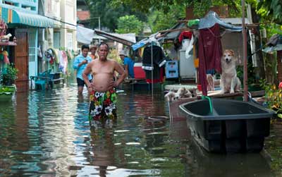 Bangkok, Thailand - November 4, 2011: Man with his family and dogs overlooking flooded street of Bangkok. Unusual heavy rains in July 2011 combined with high tides of the sea triggered massive flooding in Thailand. Approximately one third of all provinces are affected.