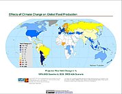 Map: Projected % Change in Rice Yield, SRES A2A (2020)