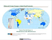 Map: Projected % Change in Rice Yield, SRES A2C (2020)