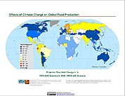 Map: Projected % Change in Rice Yield, SRES A2C (2050)