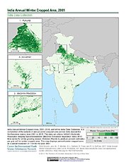 Map: India Winter Cropped Area, 2001