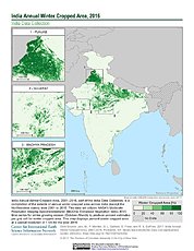 Map: India Winter Cropped Area, 2016
